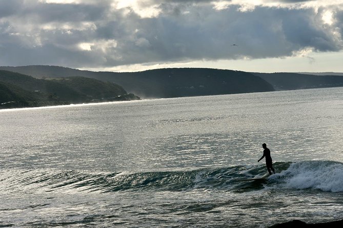 Boutique Great Ocean Road, wildlife and Rainforest Experience - Twelve Apostles Without the Usual Rush