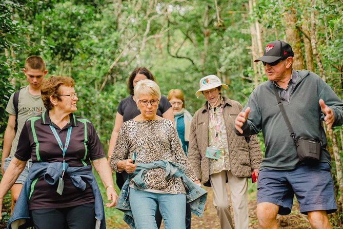 Breakfast Bushwalk & Clifftop BBQ Tour - Key Things You’ll Want to Know First