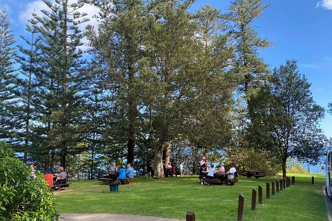 Breakfast Bushwalk & Clifftop BBQ Tour - The Hike to Captain Cook’s Monument: Views and Meaning