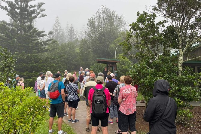Breakfast Bushwalk & Clifftop BBQ Tour - Easy Walk vs Mt. Bates: Choosing Your Effort Level