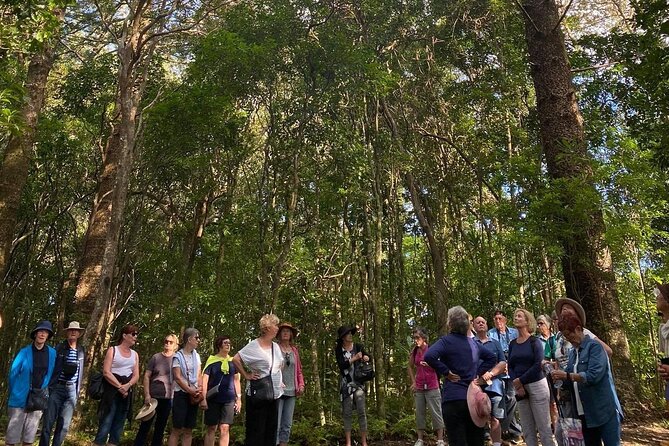 Breakfast Bushwalk & Clifftop BBQ Tour - Views You’ll Actually Notice (Not Just Ignore)