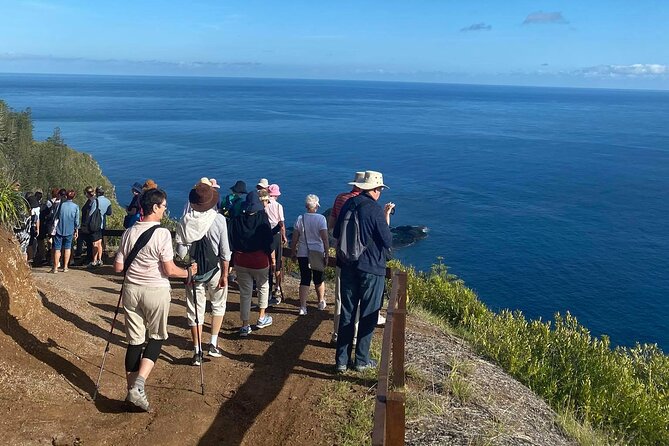 Breakfast Bushwalk & Clifftop BBQ Tour - Guide Style and Group Management: Why It Feels Low-Stress