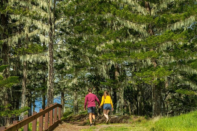 Breakfast Bushwalk in Norfolk Island - Logistics that affect your comfort: meeting point and pacing