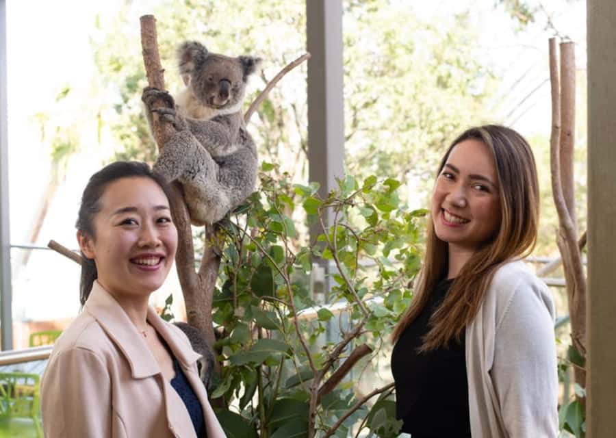 Breakfast with Koalas at WILD LIFE Zoo Darling Harbour - The 07:15 check-in and your keeper-led highlights tour (7:30–8:30)