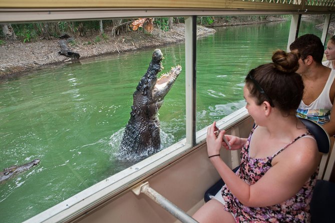 Breakfast with the Koalas at Hartley's Crocodile Park from Cairns or Palm Cove - Boardwalks and wildlife presentations: the variety is the payoff