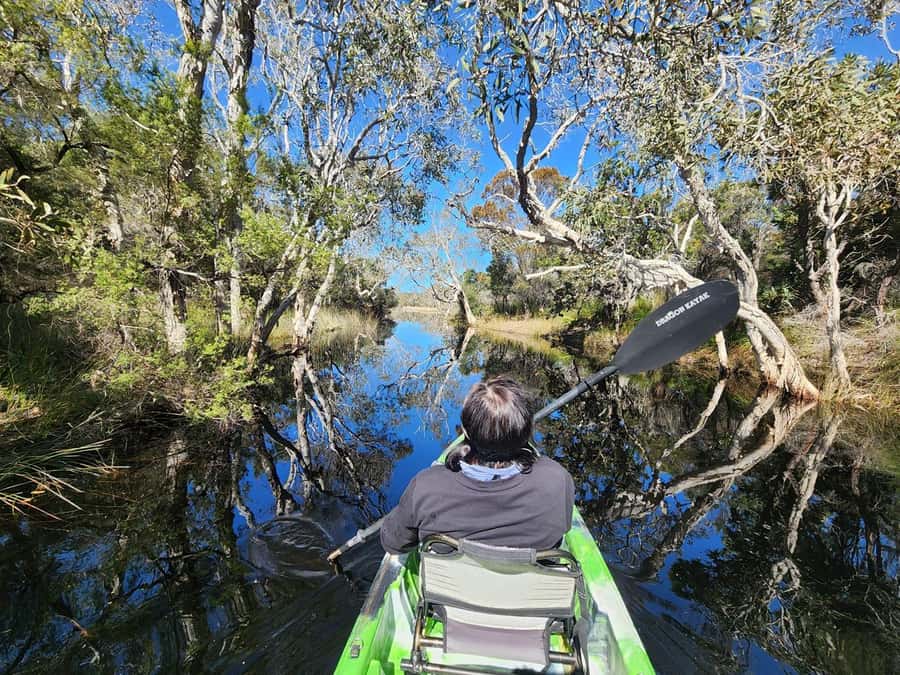 Bribie Island: 4WD, Kayak, and WWII Bunker Tour - Key Highlights You’ll Care About