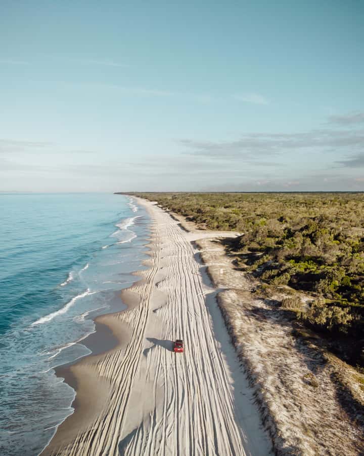 Bribie Island: 4WD, Kayak, and WWII Bunker Tour - Wildlife You Can Actually Spot: Birds, Roos, and Conservation Moments