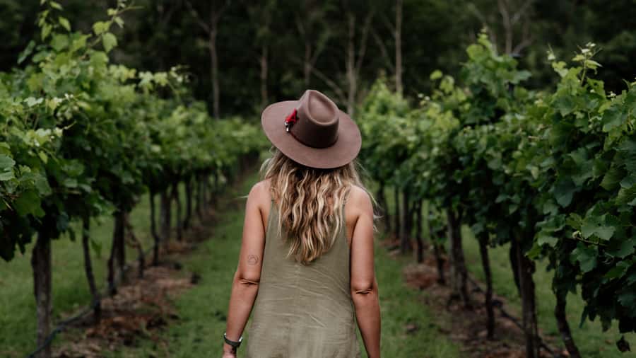 Brisbane: Boutique Winery Tour with Gourmet Lunch - Hampton Estate Winery: The First Tastings and the Warm-Up