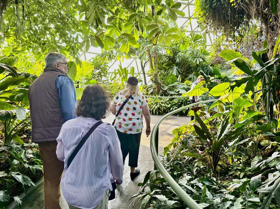 Brisbane Bus Tour: City highlights | Small group | Snack - Kangaroo Point Cliffs Park and Kangaroo Point Park: Big Views, Then Calm