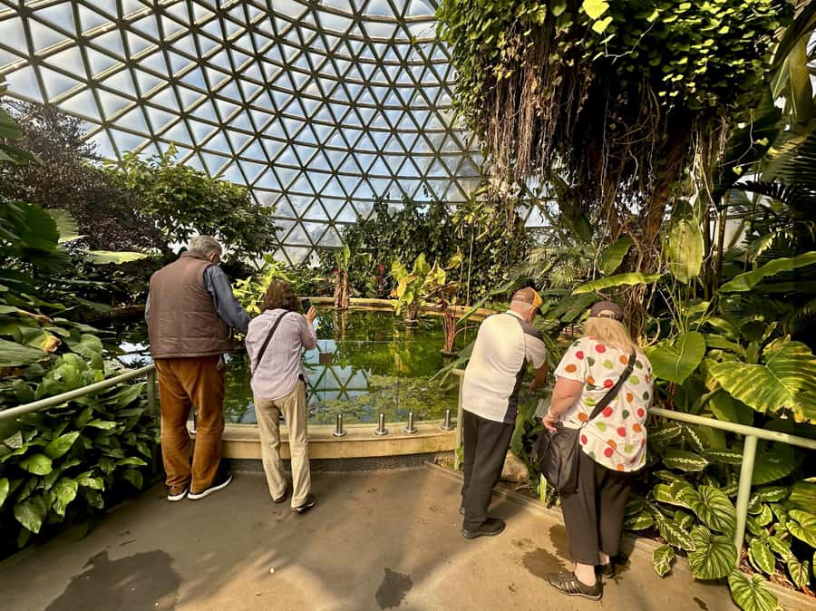Brisbane Bus Tour: City highlights | Small group | Snack - New Farm Park and Brisbane Powerhouse: A Green Pause and a Cultural Spot