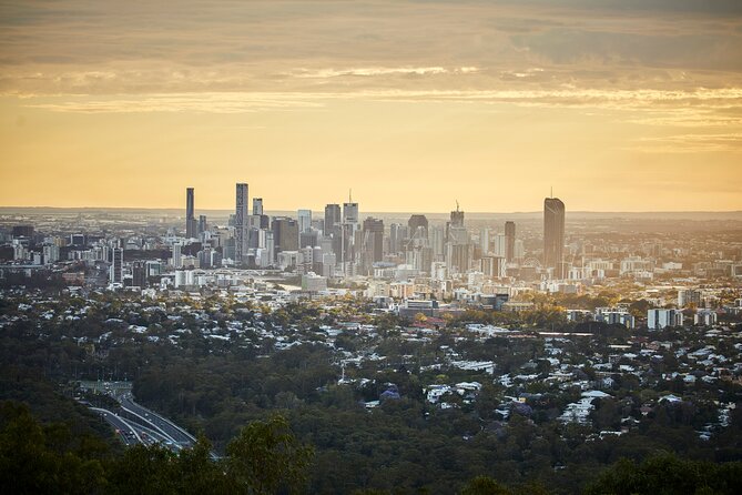 Brisbane Bus Tour: Max 10 people | Half Day | Morning tea inc. - The 9:00 am half-day rhythm: what 4 hours really buys you