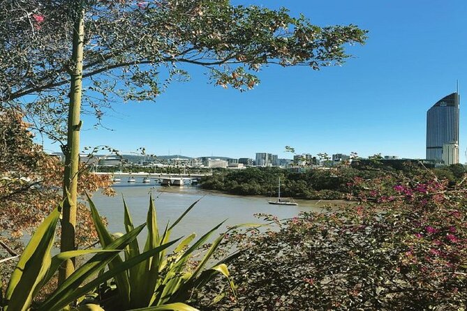 Brisbane City Highlights Sightseeing Tour - Price and Value: What You Get for $96.83