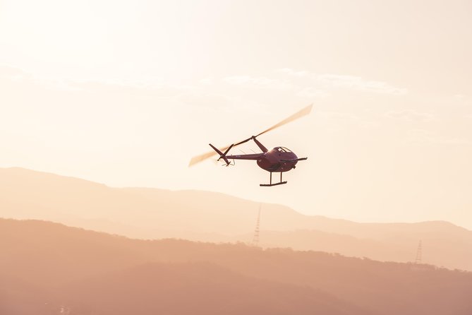 Brisbane City - Private Helicopter Sunset Flight - 25min - Convention & Exhibition Centre, Old Government House, and the climb toward Mt Coot-tha