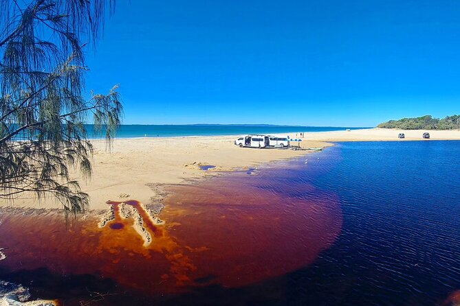 Brisbane day trip to Bribie Island - Welsby Lagoon and Fort Bribie WWII bunkers: nature plus real stories