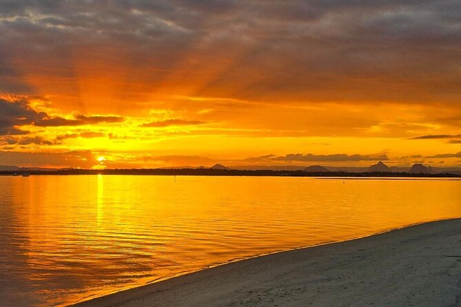 Brisbane day trip to Bribie Island - Wildlife spotting along the way: what you can realistically look for
