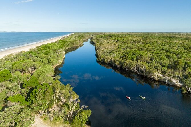 Brisbane day trip to Bribie Island - Flying-fox sunset viewing: the timing-dependent bonus