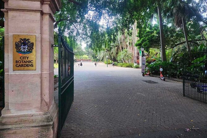 Brisbane Drive by Day - Private Tour - Stop 5: Brisbane Botanic Gardens Mt. Coot-tha preview