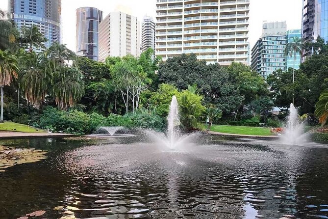 Brisbane Drive by Day - Private Tour - Stop 6: Mount Coot-tha Summit Lookout—the final photo break
