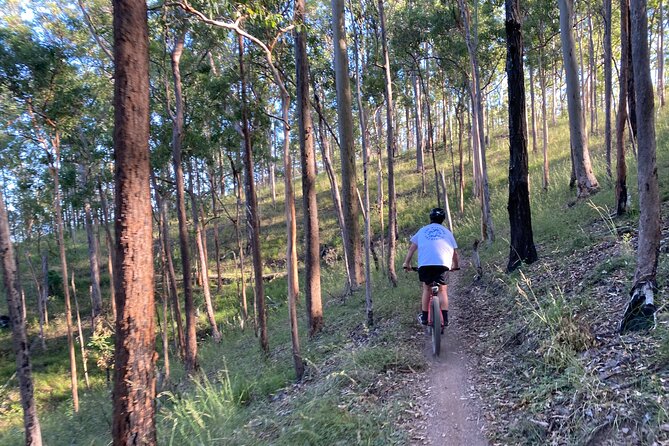 Brisbane Electric Mountain Bike Experience Tour - What the coaching plus debrief does for your next ride