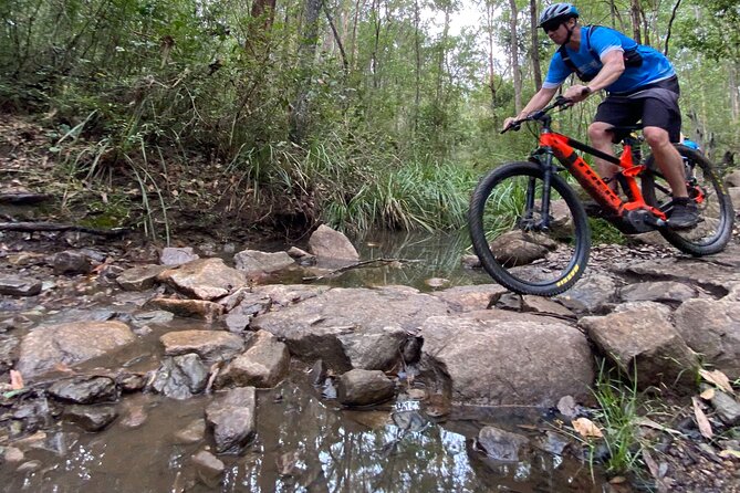 Brisbane Electric Mountain Bike Experience Tour - Price and value: what $135.56 per person actually buys you