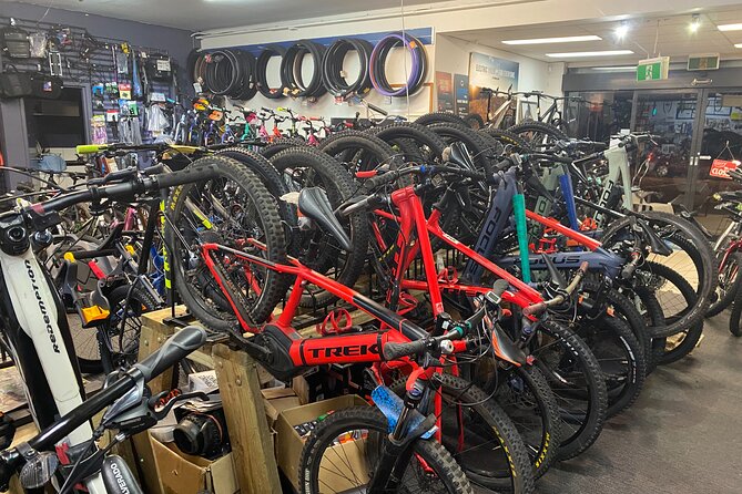 Brisbane Electric Mountain Bike Experience Tour - Who this tour suits best in real life