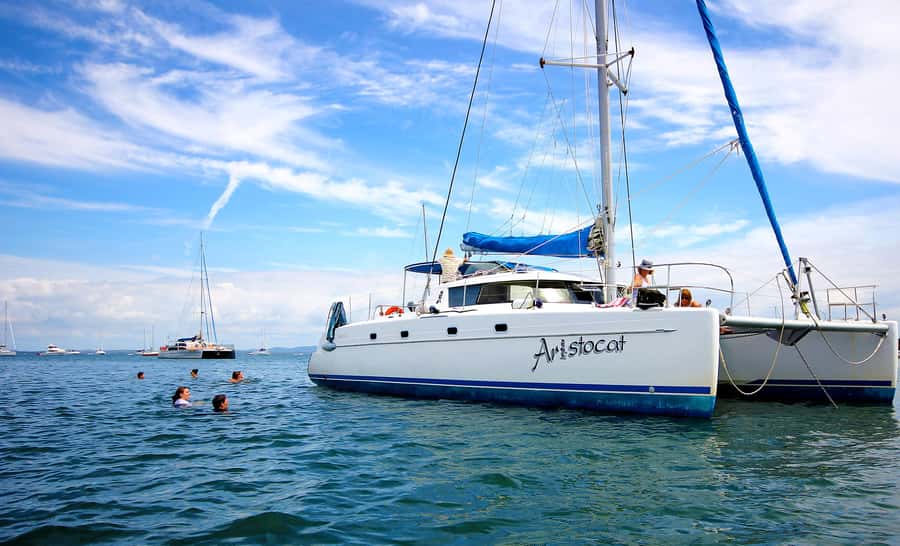 Brisbane: Half-Day Moreton Bay Sailing Cruise with Antipasto - Key things worth knowing before you go