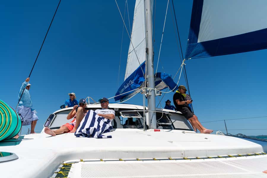 Brisbane: Half-Day Moreton Bay Sailing Cruise with Antipasto - Price and value: how $84 per person makes sense (or not)