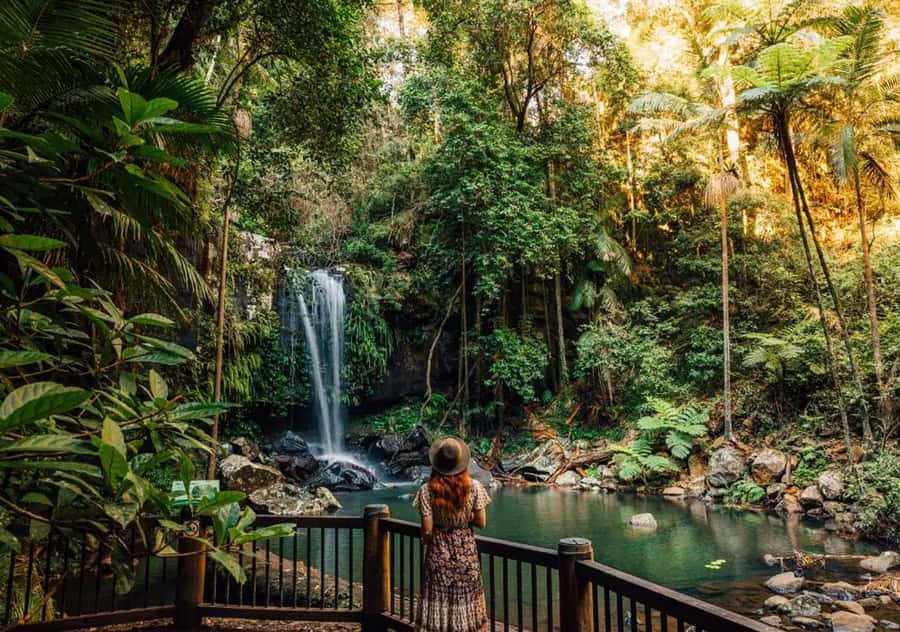 Brisbane: Hop on Hop off Bus to Tamborine Mountain - Key things to know before you plan