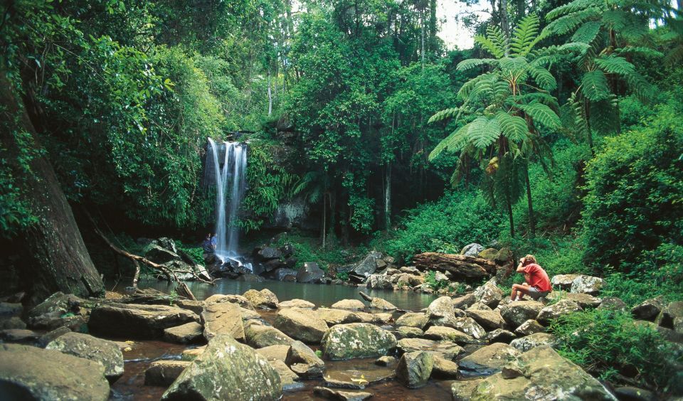 Brisbane: Hop on Hop off Bus to Tamborine Mountain - Price and value: what $70 buys you (and what it doesn’t)