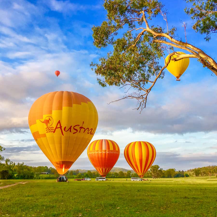 Brisbane: Hot Air Balloon Flight with Vineyard Breakfast - O’Reilly’s Canungra Valley Vineyards breakfast: what’s served and why it works