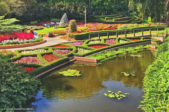 Brisbane Insights Tour - Brisbane’s Botanic Gardens and New Farm: The City’s Green and Human Scale