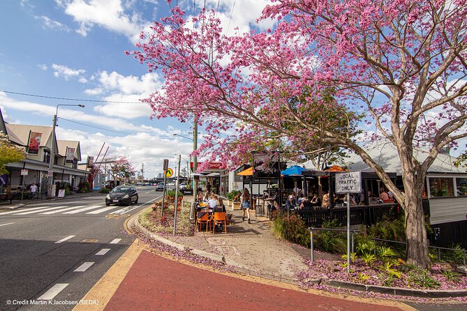 Brisbane Insights Tour - What the $91.31 Price Buys You (and When It’s a Smart Deal)