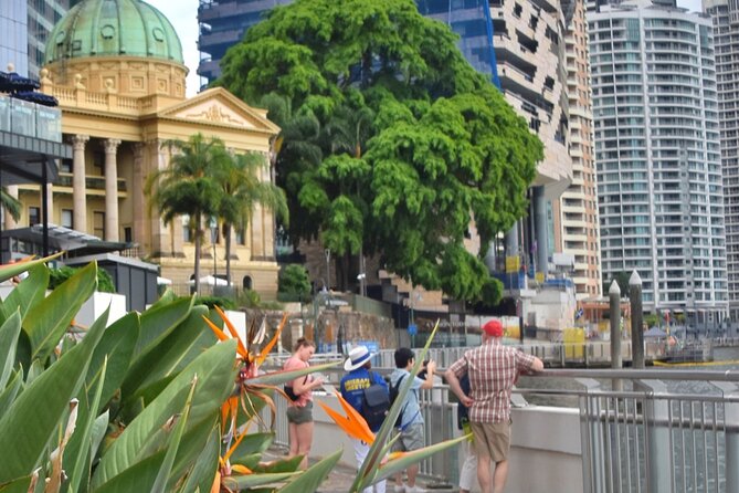 Brisbane Local Icons Tour - What You Actually Eat: Three Courses, Sides, and Built-In Drinks