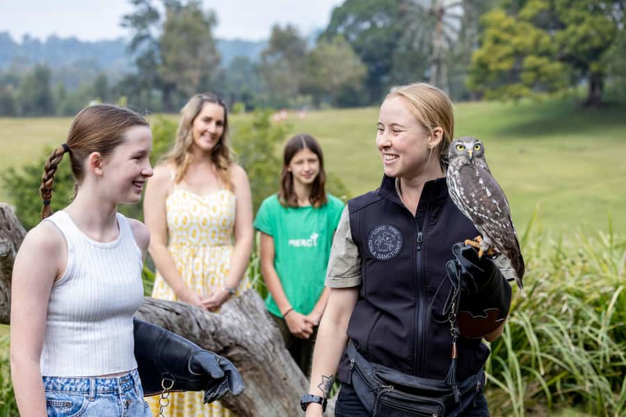 Brisbane: Lone Pine Koala Sanctuary Day Pass - The Kangaroo Reserve: hand-feeding fun with real rules