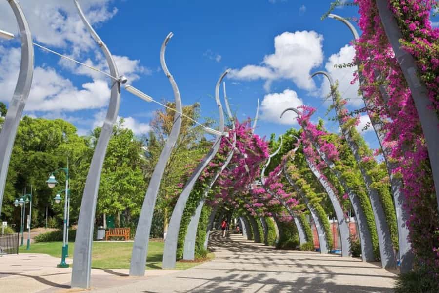 Brisbane: Private custom tour with a local guide - Why a Private Brisbane Walking Tour Works So Well
