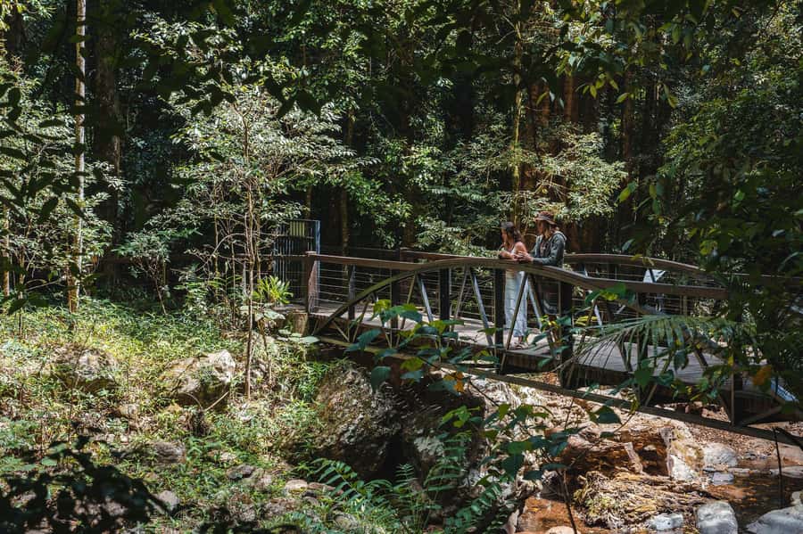 Brisbane: Rainforests, Waterfalls and Glow Worm Cave Tour - Key takeaways before you go