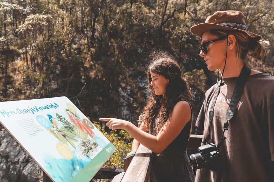 Brisbane: Rainforests, Waterfalls and Glow Worm Cave Tour - Cedar Creek Glow Worm Caves: the main event (rules matter)