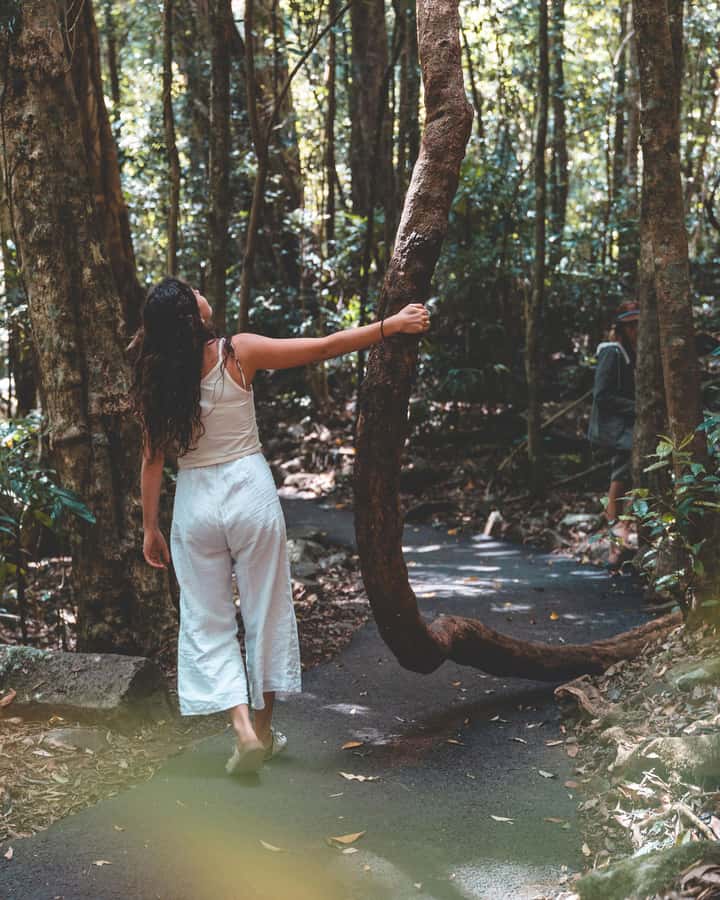 Brisbane: Rainforests, Waterfalls and Glow Worm Cave Tour - Gallery Walk on Tamborine Mountain: lunch, local crafts, and a breather