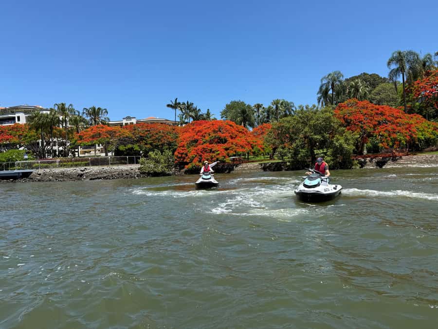 Brisbane River Jet Ski Tour - Wildlife, islands, and the best kind of surprise