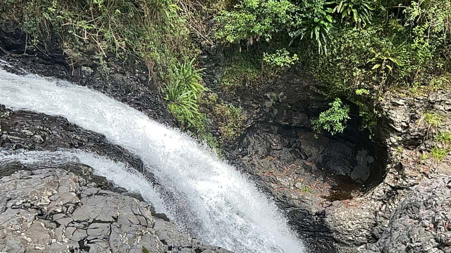 Brisbane: Springbrook and Mt Tamborine Glow Worm and Skywalk - Why this tour works for first-timers in Gold Coast Hinterland