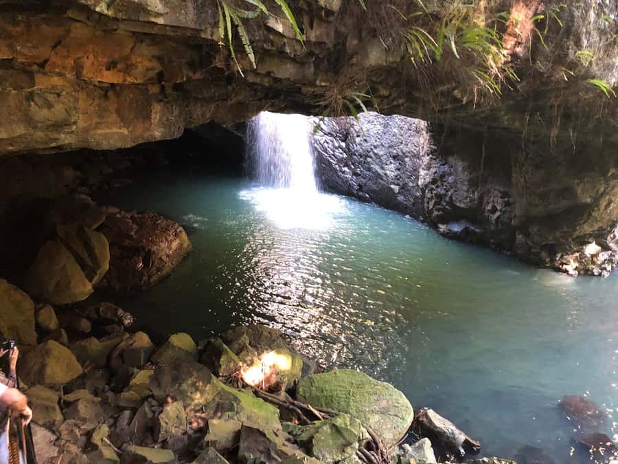 Brisbane: Springbrook and Mt Tamborine Glow Worm and Skywalk - Springbrook National Park: natural bridge and a short, satisfying walk