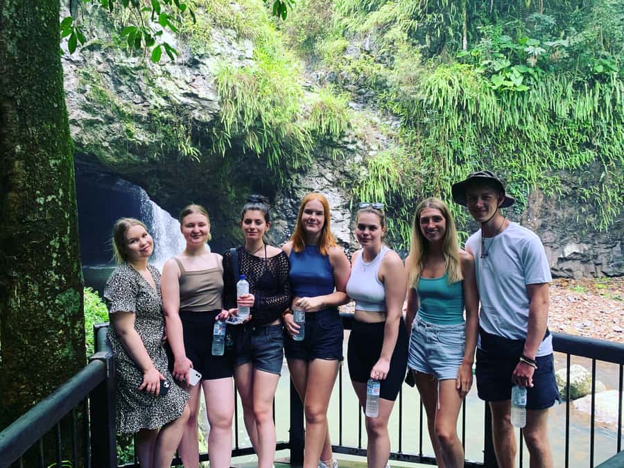 Brisbane: Springbrook and Mt Tamborine Glow Worm and Skywalk - Mt Tamborine village time: lunch, Gallery Walk, and sweet samples