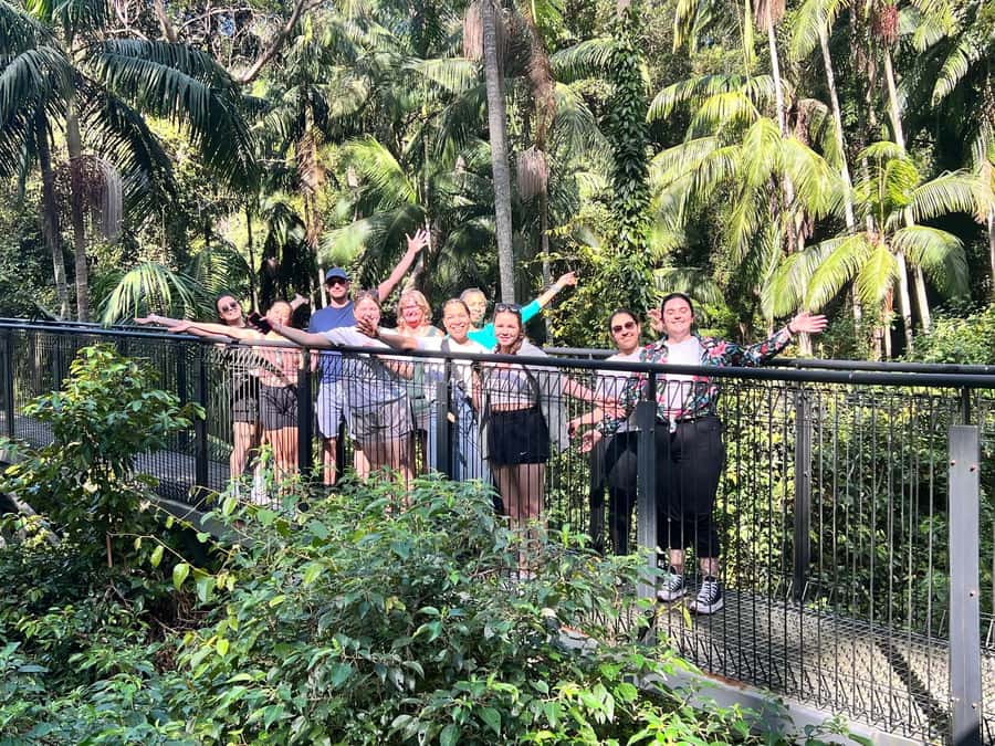 Brisbane: Springbrook and Mt Tamborine Glow Worm and Skywalk - Man-made Glow Worm Cave at Cedar Creek Estate