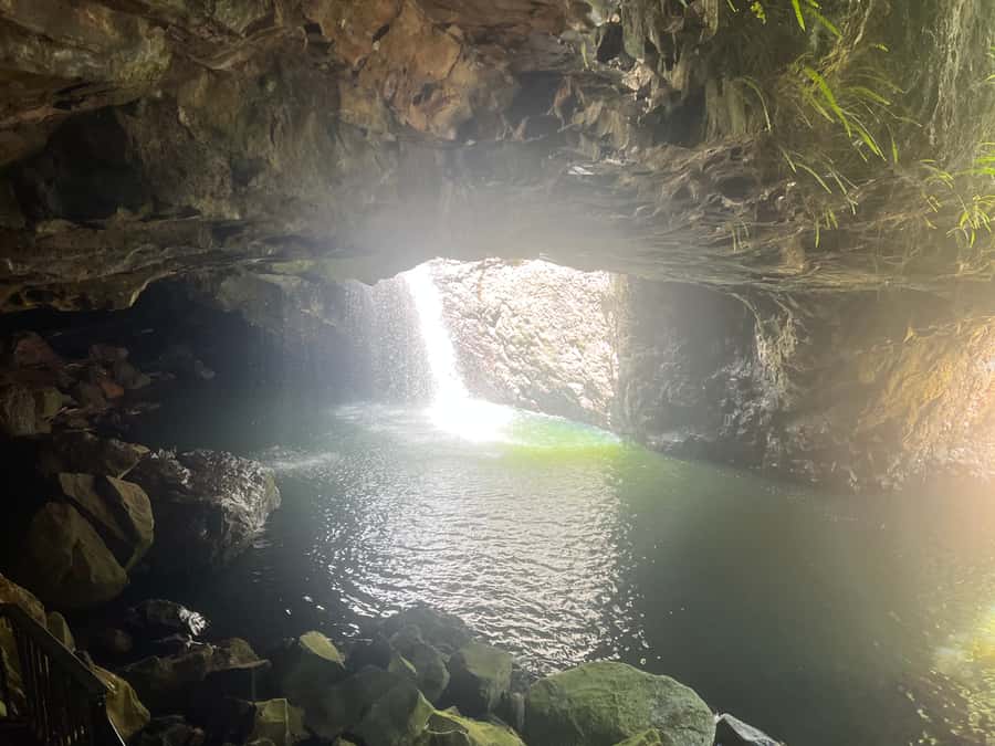 Brisbane: Springbrook and Mt Tamborine Glow Worm and Skywalk - Group size, guides, and the tone of the day