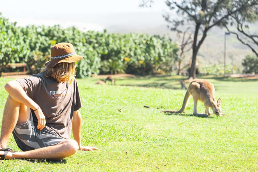 Brisbane: Stradbroke Island Eco Tour - Small Group, Full Day - Amity Point: your first dose of island calm and dolphin potential