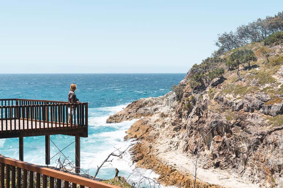Brisbane: Stradbroke Island Eco Tour - Small Group, Full Day - Deadman’s Beach: rugged coast, shark viewing, and whale season