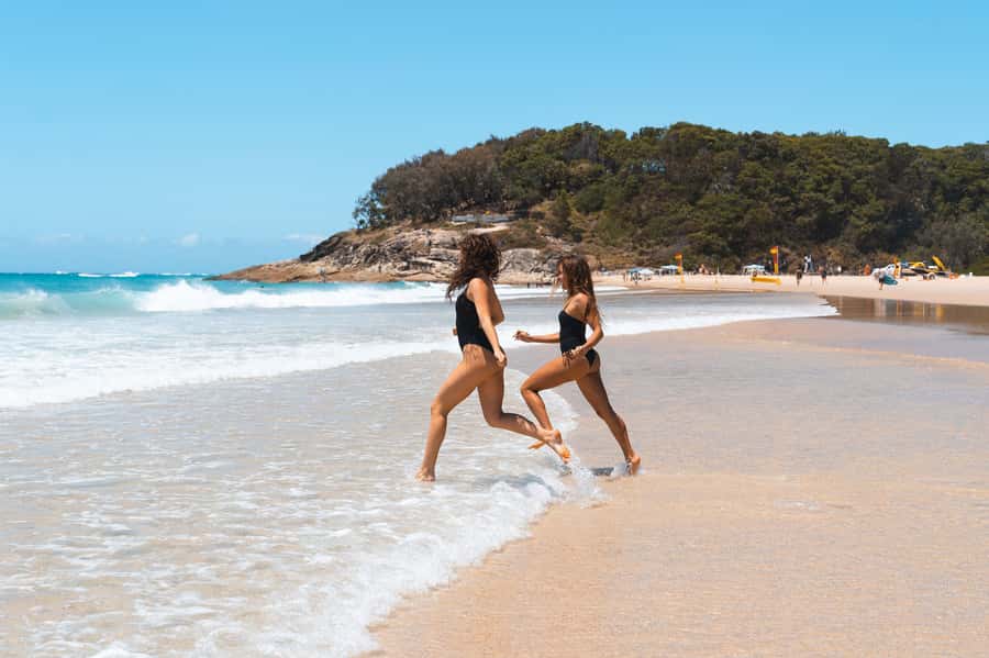 Brisbane: Stradbroke Island Eco Tour - Small Group, Full Day - Myora Springs: Indigenous history in a freshwater setting