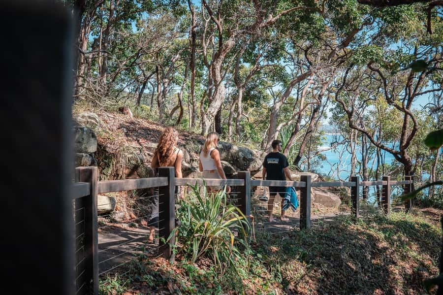 Brisbane: Sunshine Coast Hinterland & Noosa Scenic Tour - Montville Break: Boutique Shops, Cafes, and Mountain Views