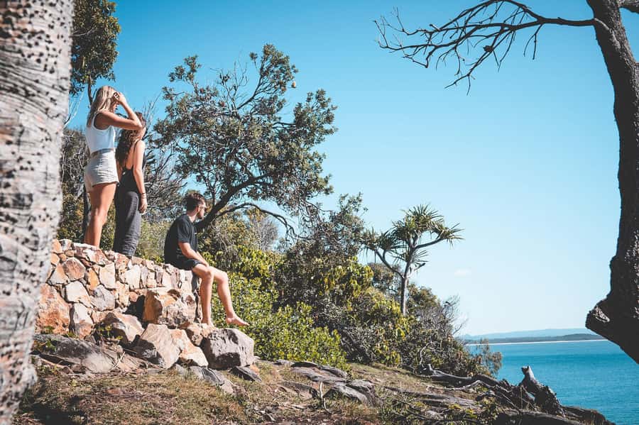 Brisbane: Sunshine Coast Hinterland & Noosa Scenic Tour - Noosa National Park Coastal Track: Cliff Views and Wildlife Chances