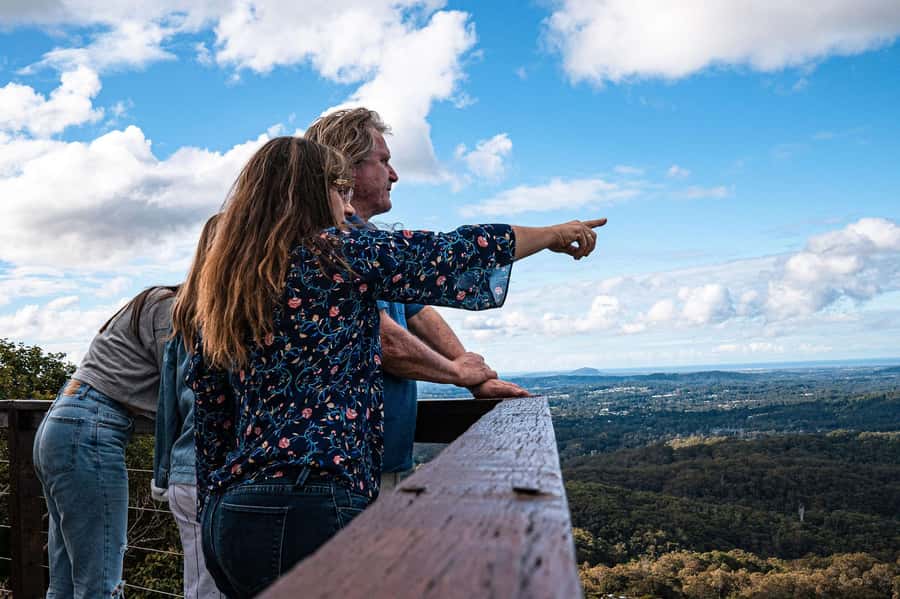 Brisbane: Sunshine Coast Hinterland & Noosa Scenic Tour - The Van Experience: Small Group Energy, Comfort Trade-Offs